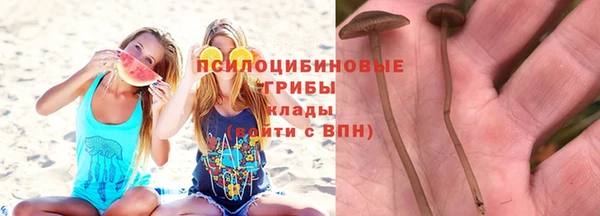 гашик Богородицк