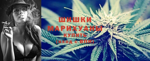 дмт Елизово