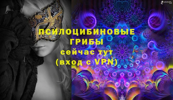 соль курить ск Богородск
