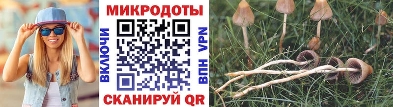 Галлюциногенные грибы Magic Shrooms  Ковдор 
